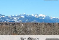 Baking at High Altitude with a Bread Machine: Tips for Success