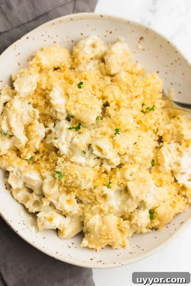 featured 7887