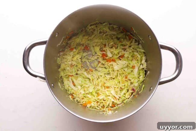 Hearty Chicken and Cabbage Soup Without Tomatoes 4 Sauteing vegetables and cabbage in a pot.