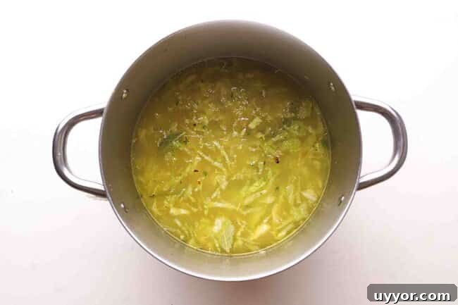 Hearty Chicken and Cabbage Soup Without Tomatoes 5 Cabbage soup in a pot.
