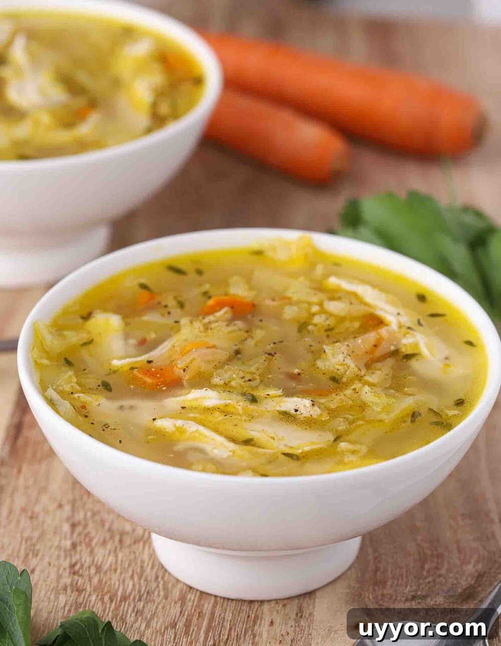 Hearty Chicken and Cabbage Soup Without Tomatoes 6 Two bowls of chicken cabbage soup.