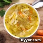 Hearty Chicken and Cabbage Soup Without Tomatoes 7 Bowl of chicken cabbage soup.
