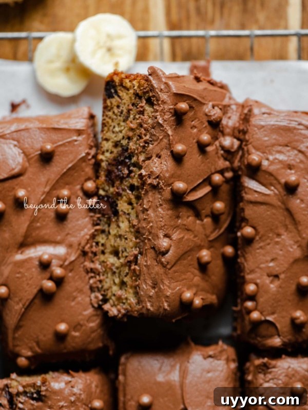 Slices of banana chocolate chip snack cake with chocolate cream cheese frosting on parchment paper lined cooling rack with banana slices.