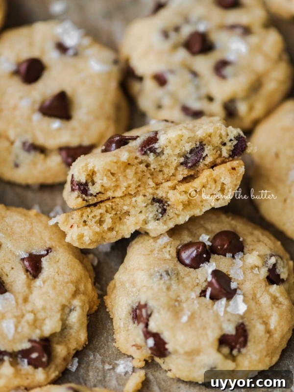Salted chocolate chip shortbread cookies randomly placed on cookie sheet with the center cookie in half to show the middle.
