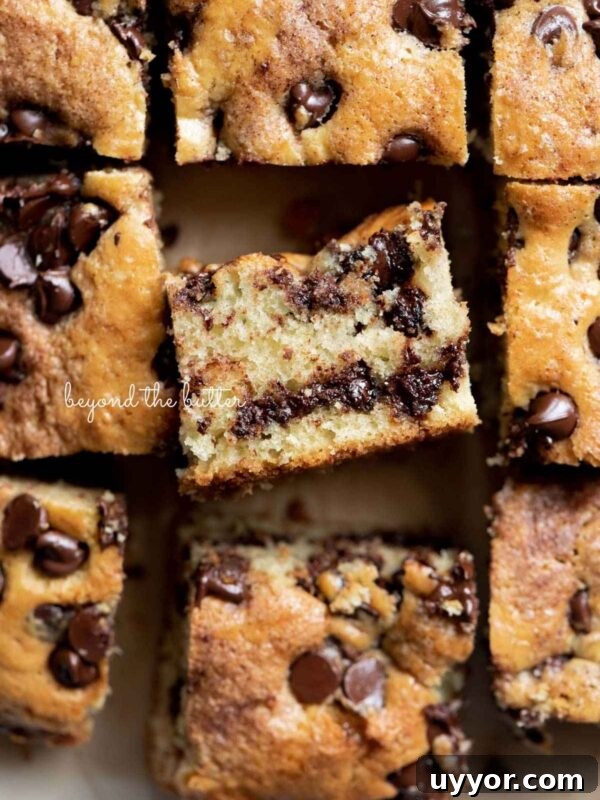 Sliced squares of chocolate chip sour cream coffee cake on brown parchment paper with the center slice on its side.