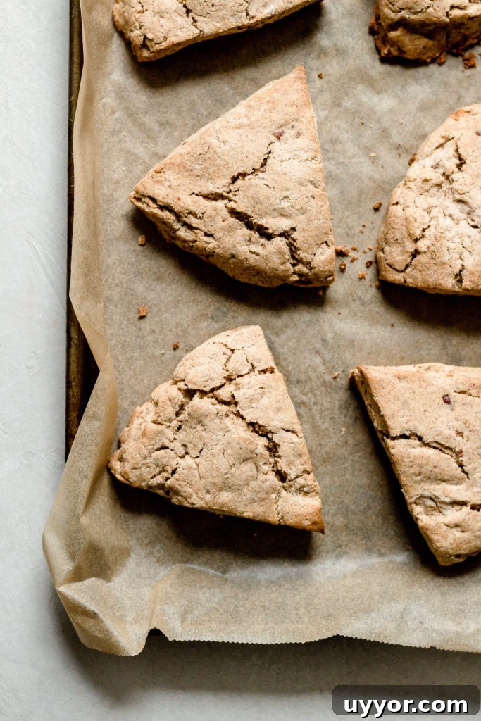 Whole Wheat Maple Pecan Scones with Maple Icing
