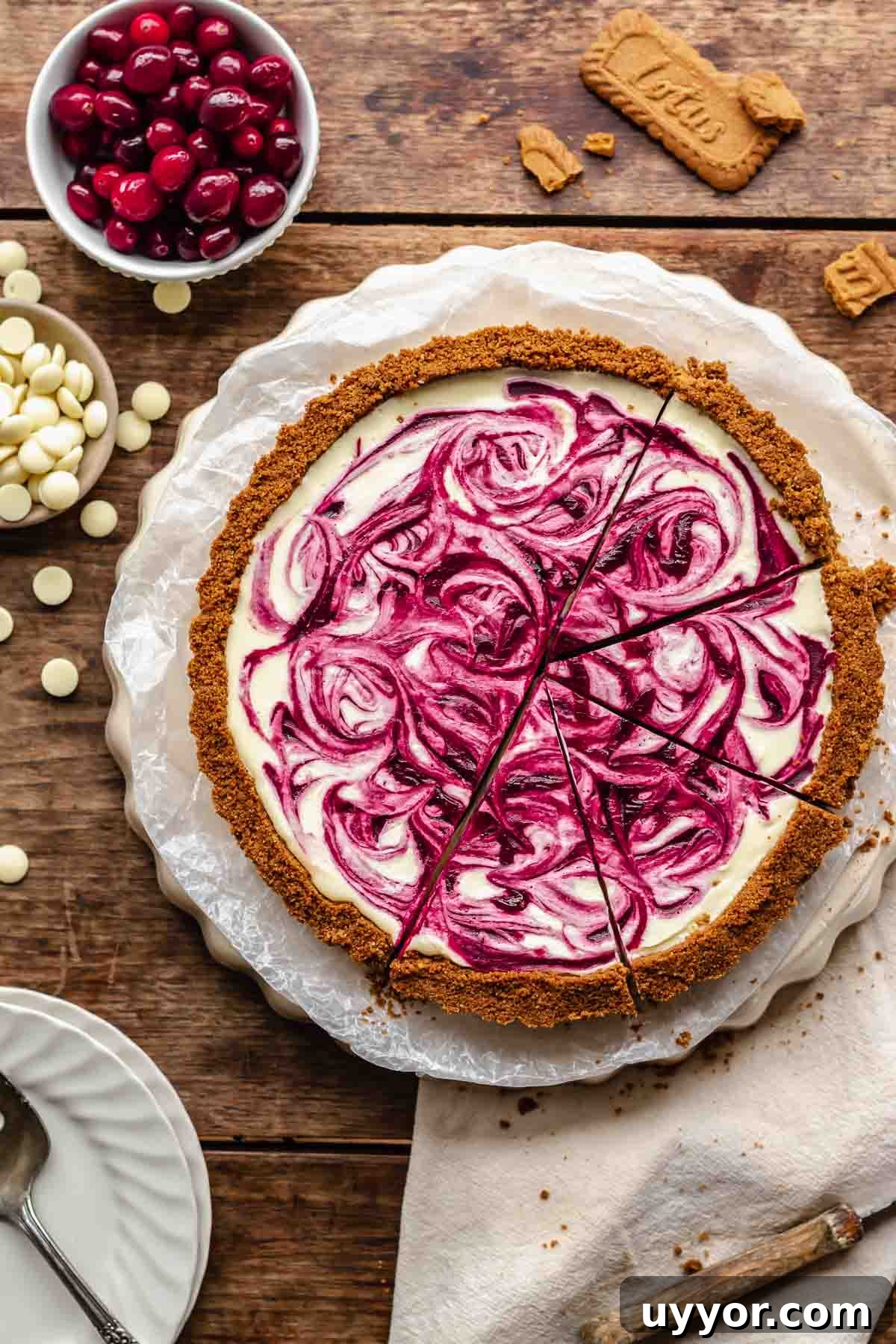 White chocolate tart with cranberries and white chocolate on the sides.