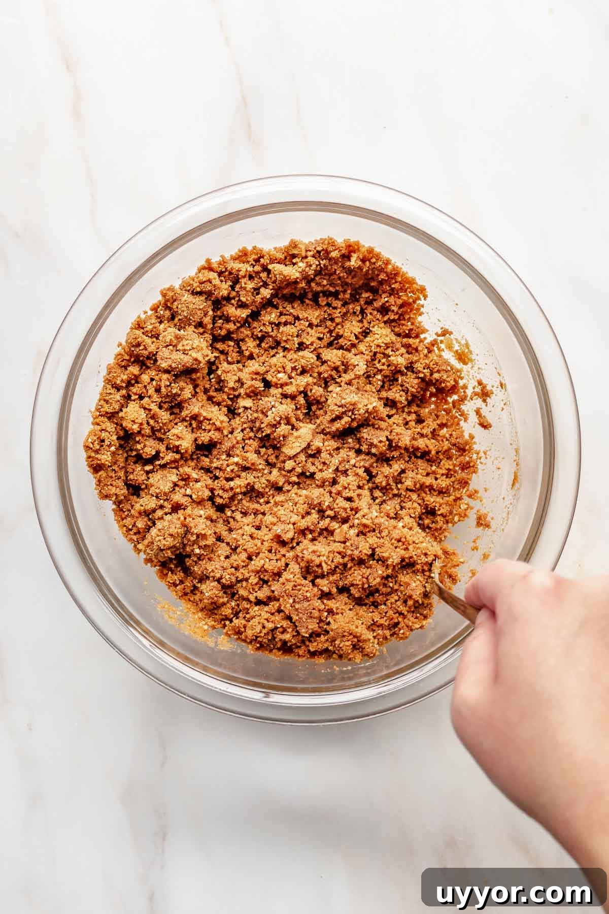 A hand mixes Biscoff cookie crumbs in a bowl.