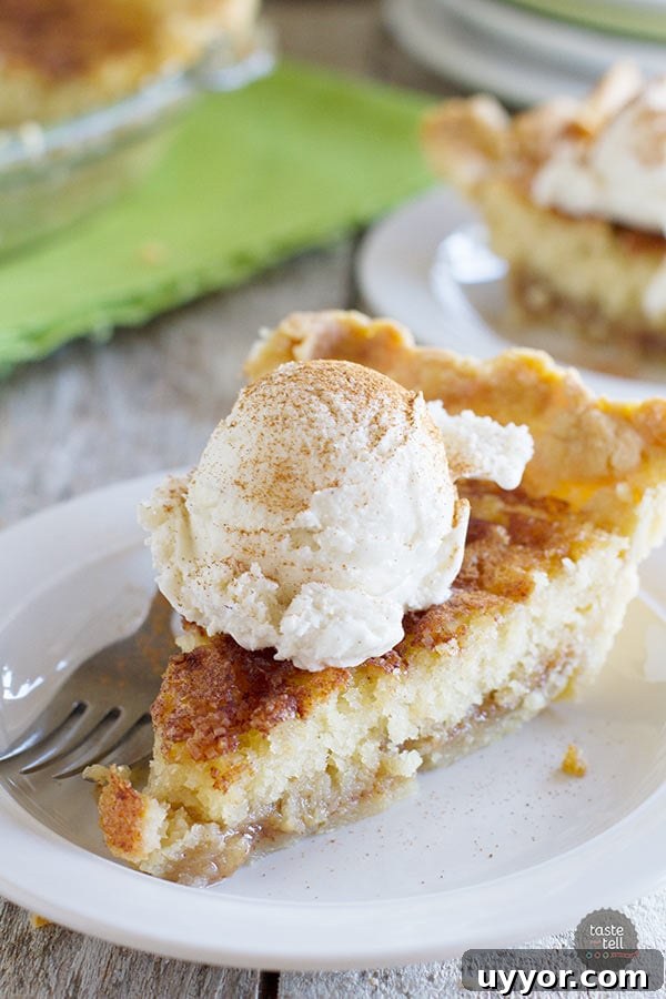 Snickerdoodle-Pie-tasteandtellblog.com-1 snickerdoodle pie