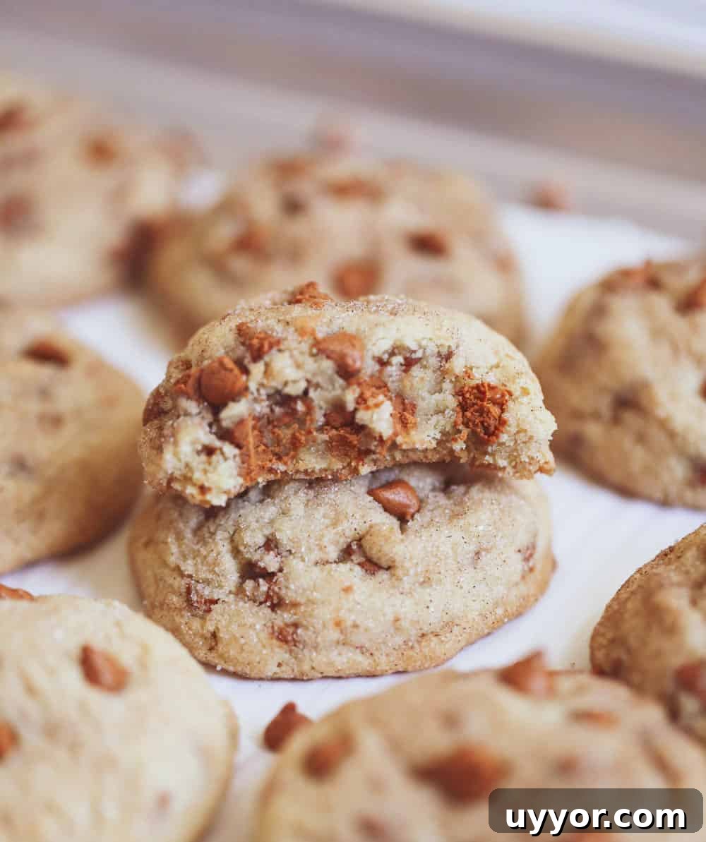 25 Irresistible Snickerdoodle Desserts for Your Party 3 Snickerdoodle Cinnamon Chip Cookies
