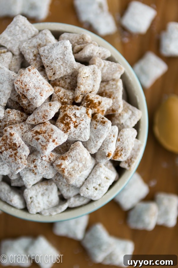 Peanut-Butter-Snickerdoodle-Muddy-Buddies-5-of-7 muddy buddies