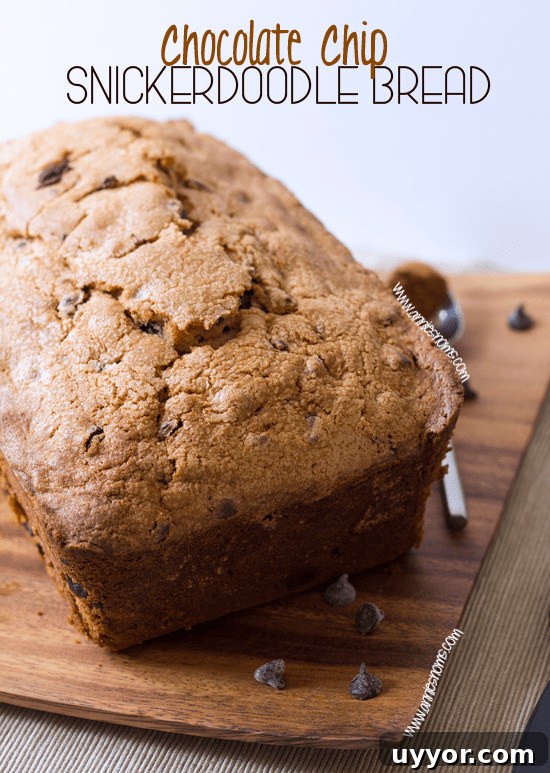 snickerdoodlebread1 snickerdoodle bread
