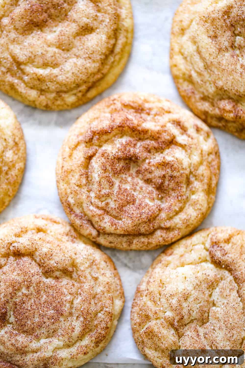 25 Irresistible Snickerdoodle Desserts for Your Party 4 soft snickerdoodles