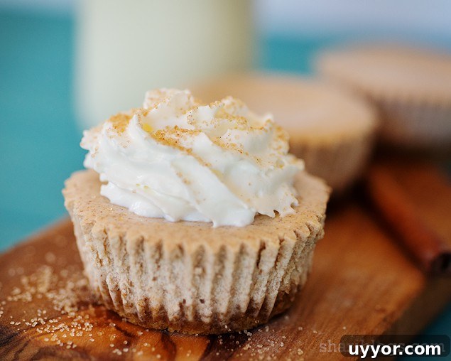 PIC_9978 mini cheesecakes