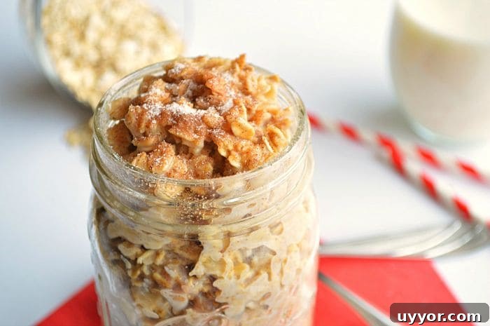 Snickerdoodle-Oatmeal3 snickerdoodle oatmeal