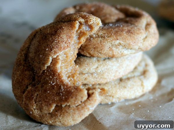 IMG_65291-1024x766 brown butter snickerdoodles