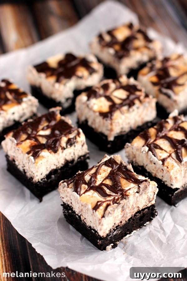 snickerdoodle-cheesecake-brownie-bars-2 cheesecake brownies