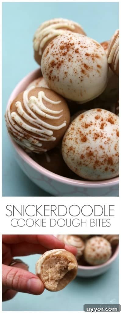 Snickerdoodle-Cookie-Dough-Bites-Pin cookie dough bites