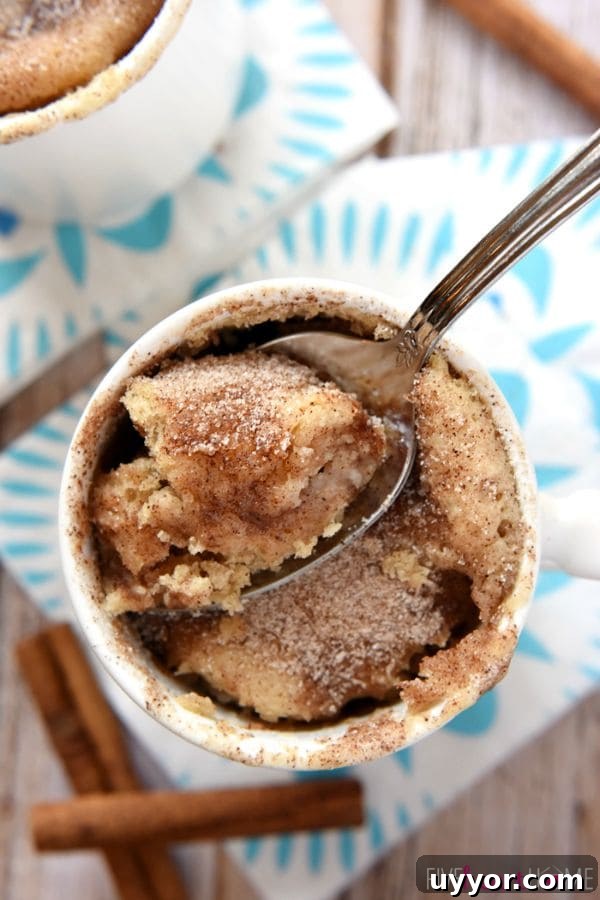 Snickerdoodle-Mug-Cake-Recipe-1-Minute-Microwave-by-Five-Heart-Home_700pxSpoon mug cake
