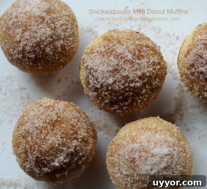 Snickerdoodle-Mini-Donut-Muffins66 mini donut muffins