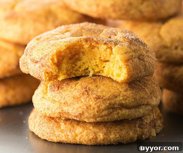 pumpkin-snickerdoodles-3 pumpkin snickerdoodles
