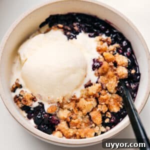 Classic Blueberry Cobbler Recipe with Golden Biscuit Topping 4 img 105171 12