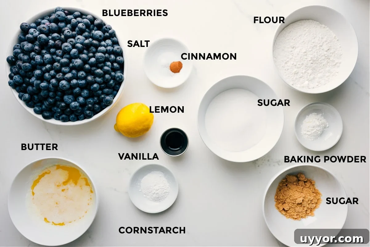 Ingredients In Blueberry Cobbler All the ingredients prepped for easy assembly: blueberries, salt, cinnamon, flour, sugar, baking powder, cornstarch, lemon, vanilla, and butter.