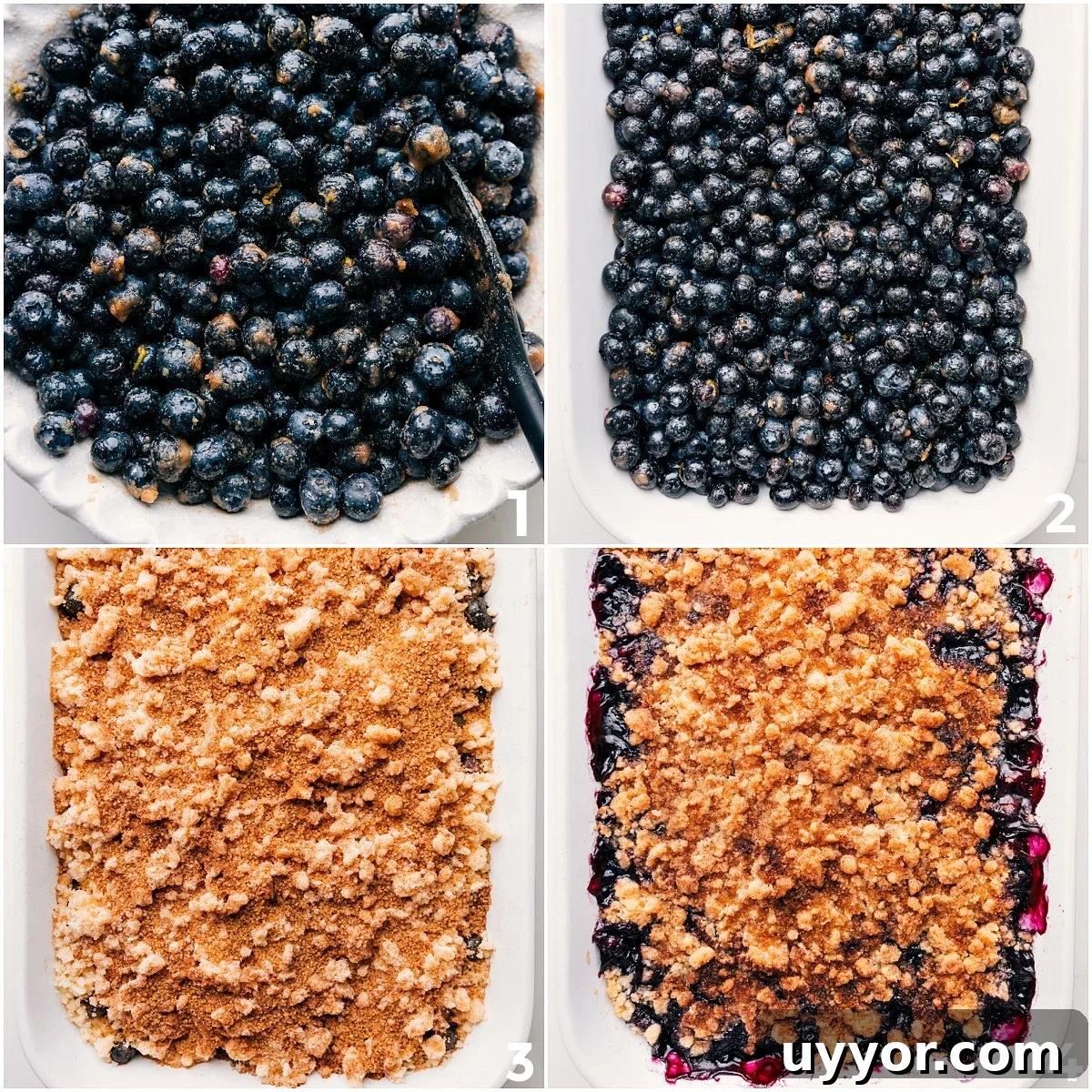 How To Make Blueberry Cobbler Recipe Blueberries tossed in sugar and spices added to the pan, topped with crumble, and baked until golden.