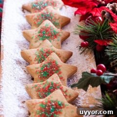 Chewy Brown Sugar Cookie Recipe You’ll Love 7 img 10659 9
