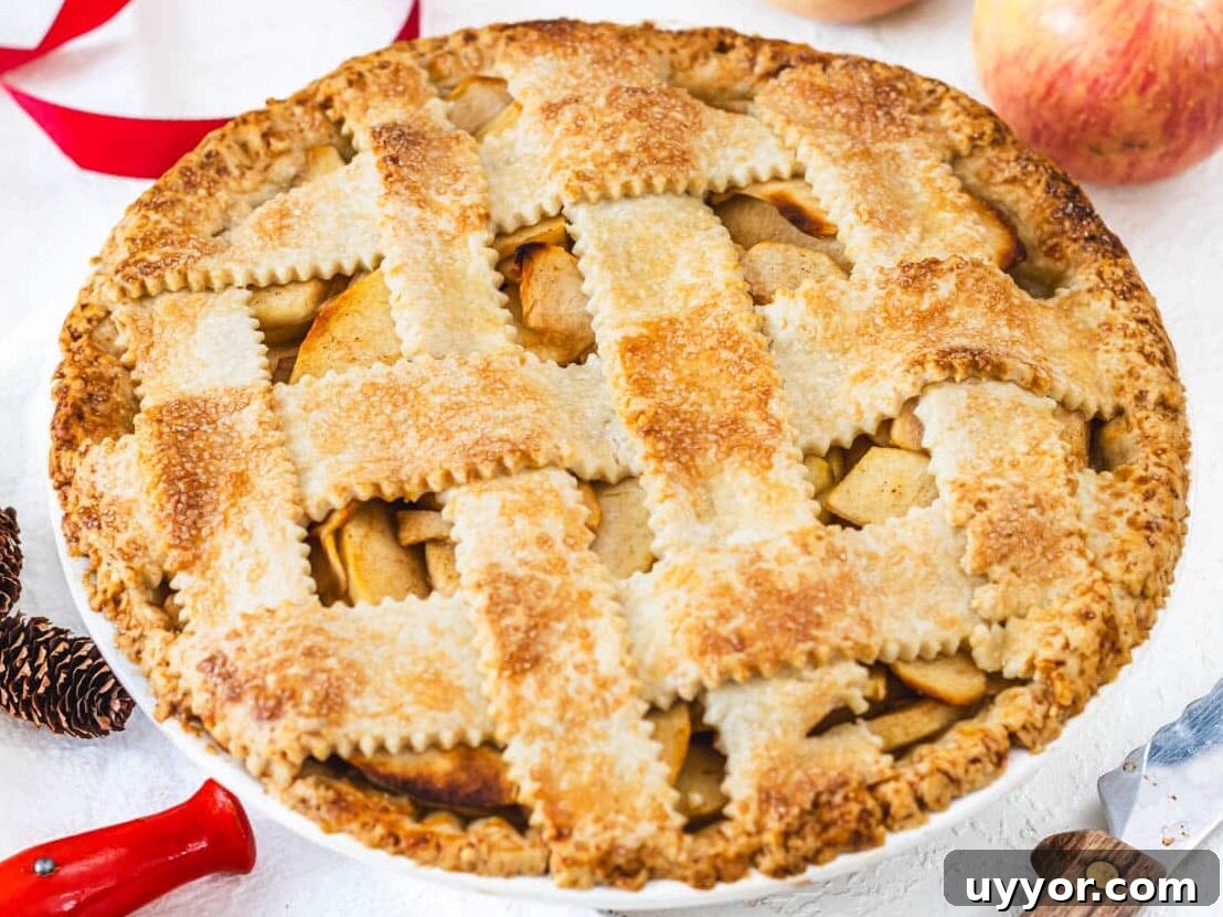 25 Cozy Apple Recipes That Capture Fall Flavors 12 vegan apple pie with red apples and knife on the side