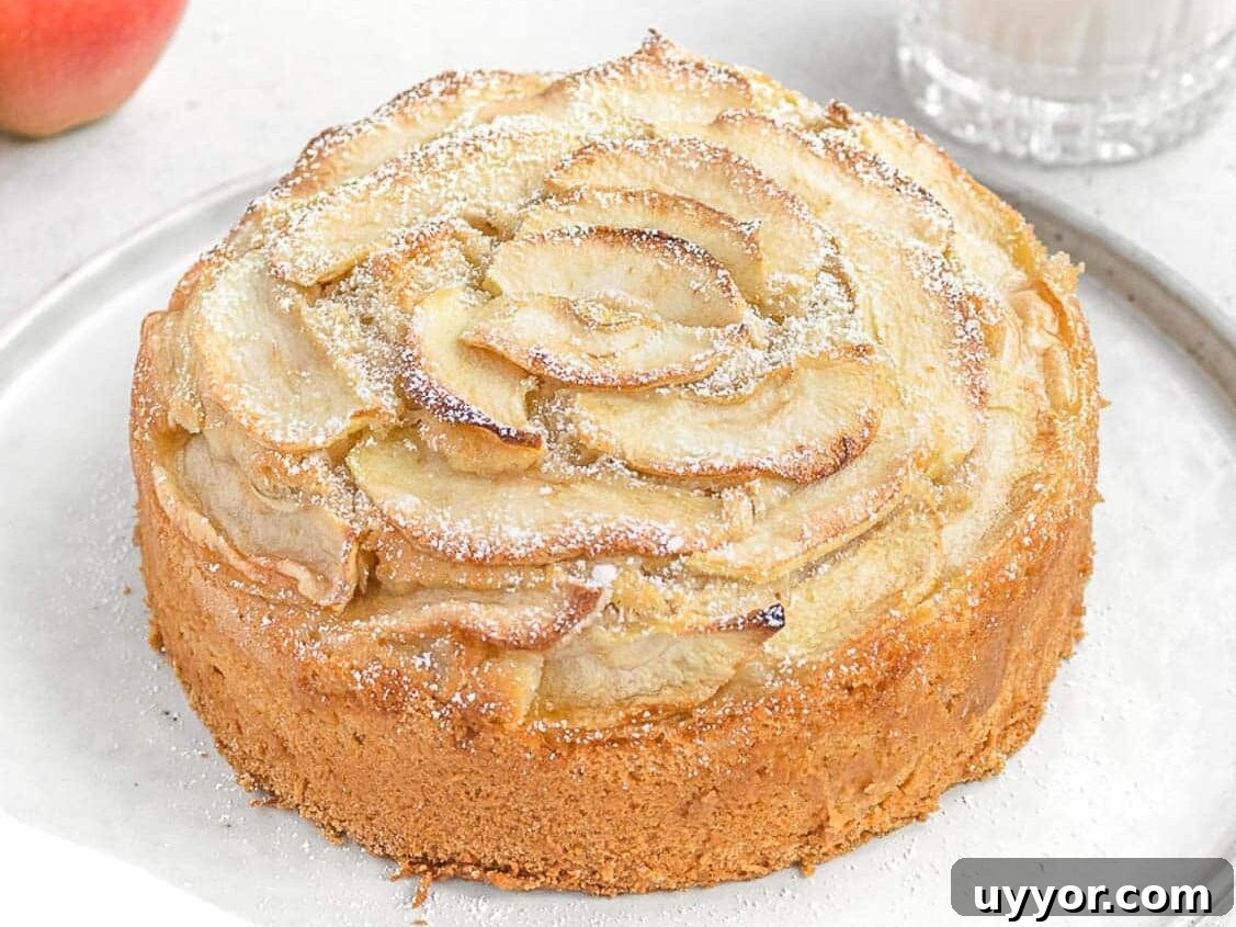 25 Cozy Apple Recipes That Capture Fall Flavors 3 baked vegan apple cake
