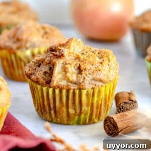 Healthy apple muffins with cinnamon
