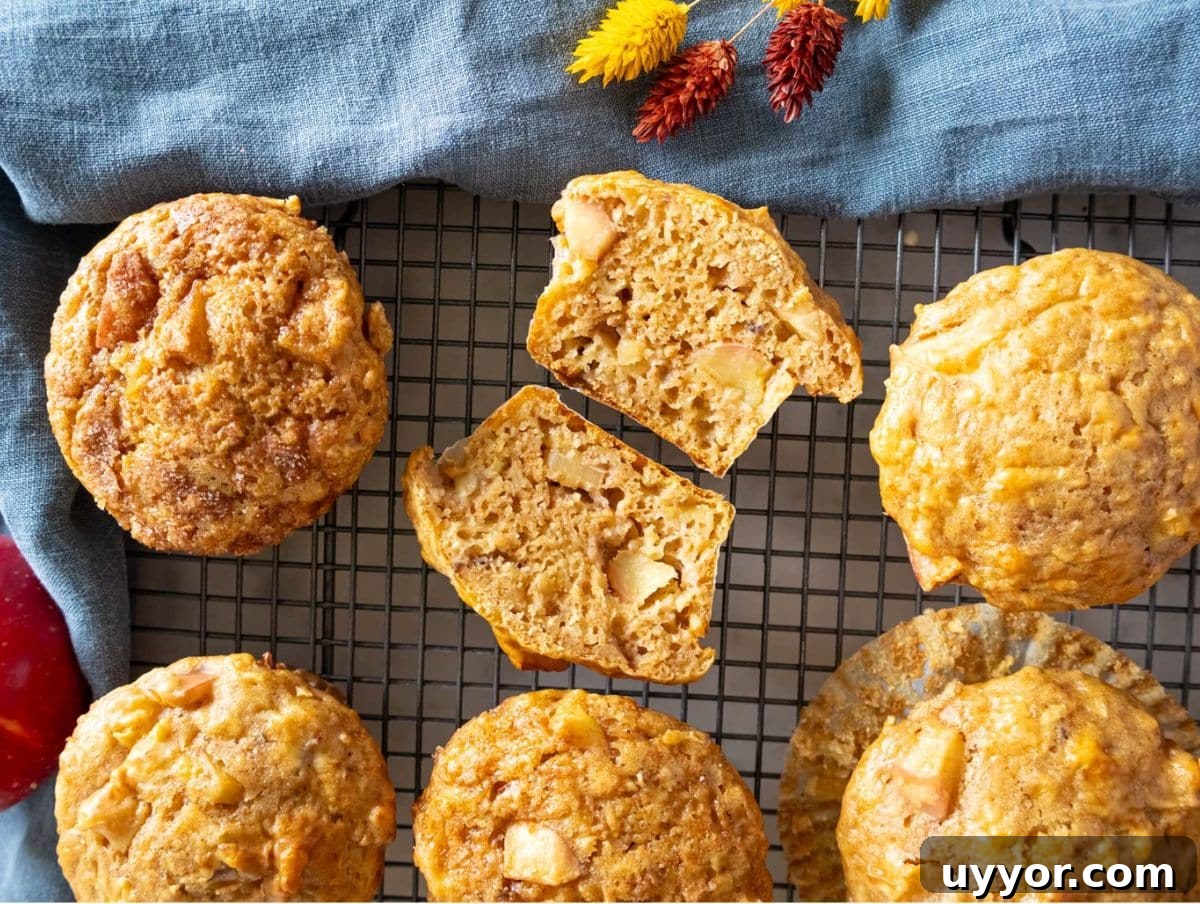 25 Cozy Apple Recipes That Capture Fall Flavors 8 Freshly baked protein breakfast muffins displayed with apples on a cooling rack.