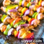 Chipotle Chicken Kabobs in Hand