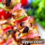 Hand holding Asian Chicken Skewer