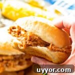 Pulled Chicken Sandwiche in hand