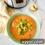 Instant Pot Chicken Tortilla Soup.