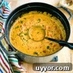 ladle in pot of cheeseburger soup.