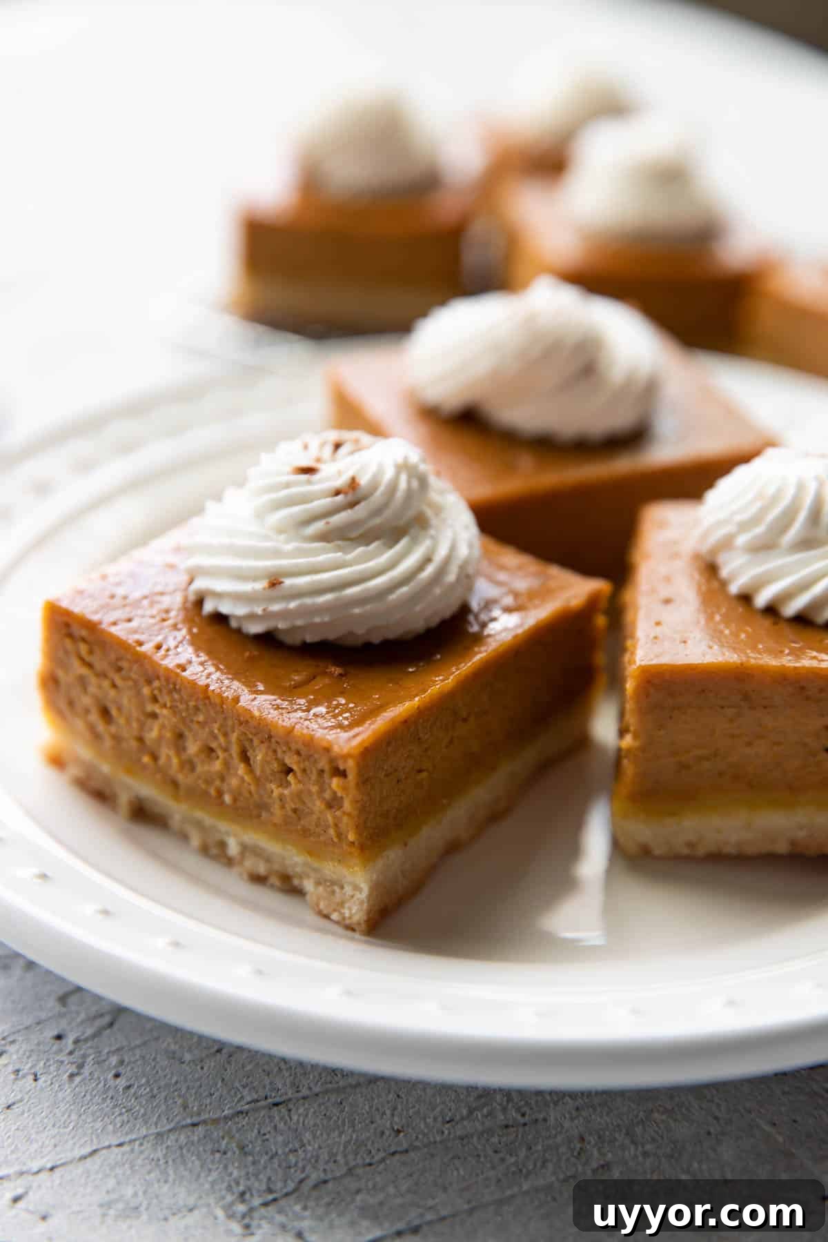 Pumpkin pie bars on a plate