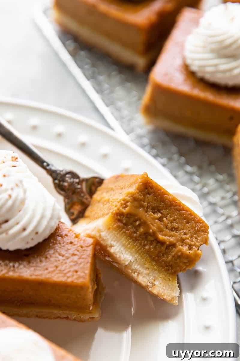 Close-up of pumpkin pie bars