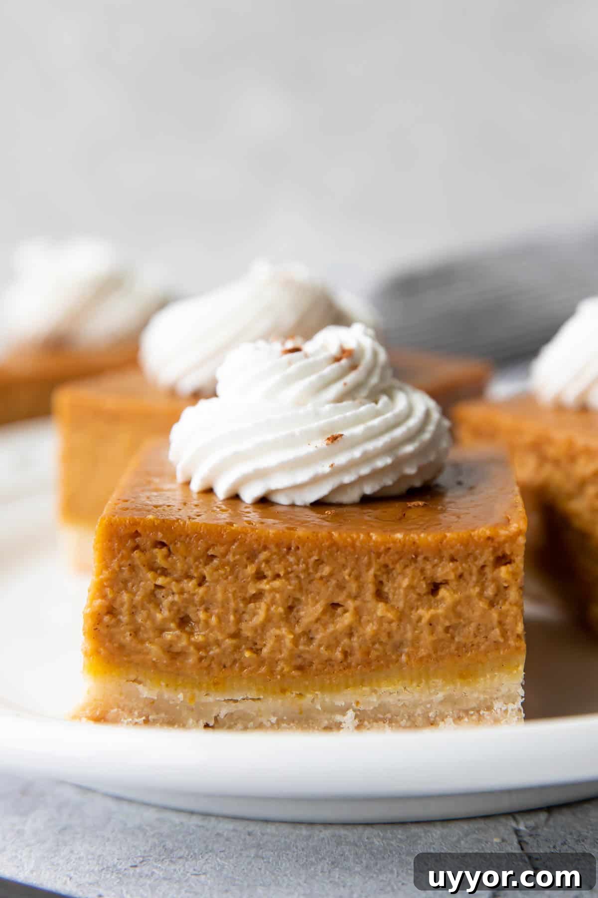 Ingredients for pumpkin pie bars