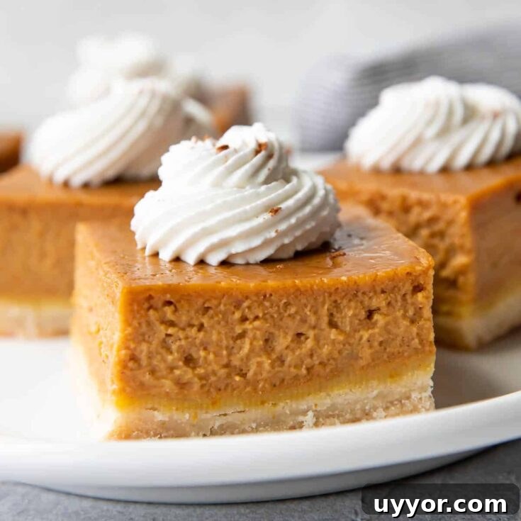 Pumpkin pie bars image