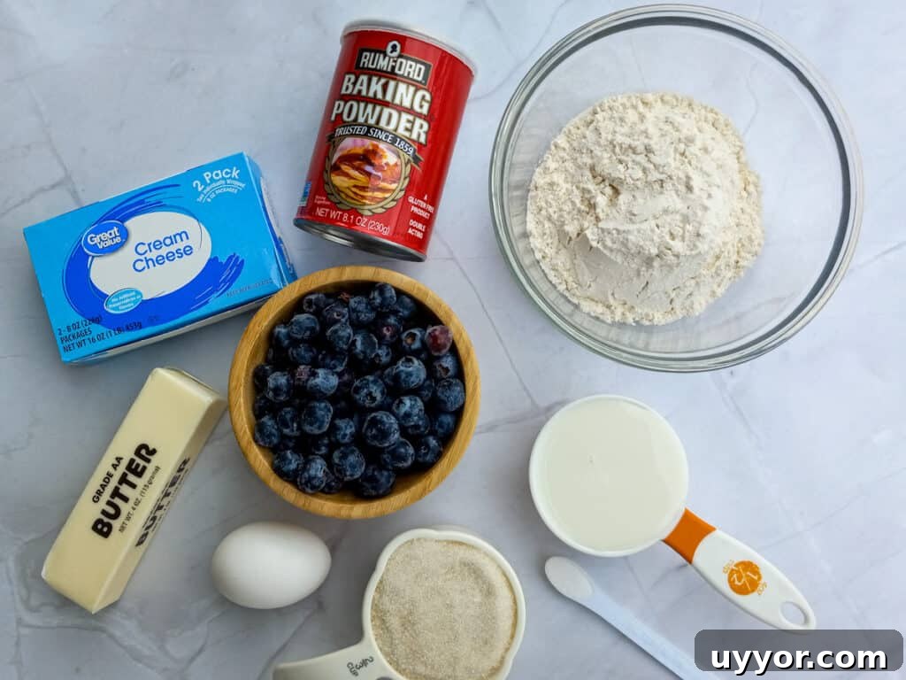 Amish Blueberry Coffee Cake Recipe for Tender, Rustic Crumb 2 Ingredients - flour, baking powder, sugar, egg, butter, milk, cream cheese, and blueberries