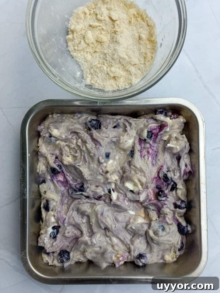 Amish Blueberry Coffee Cake Recipe for Tender, Rustic Crumb 3 blueberry cream cheese cake in pan and streusel topping in bowl, ready to put together.