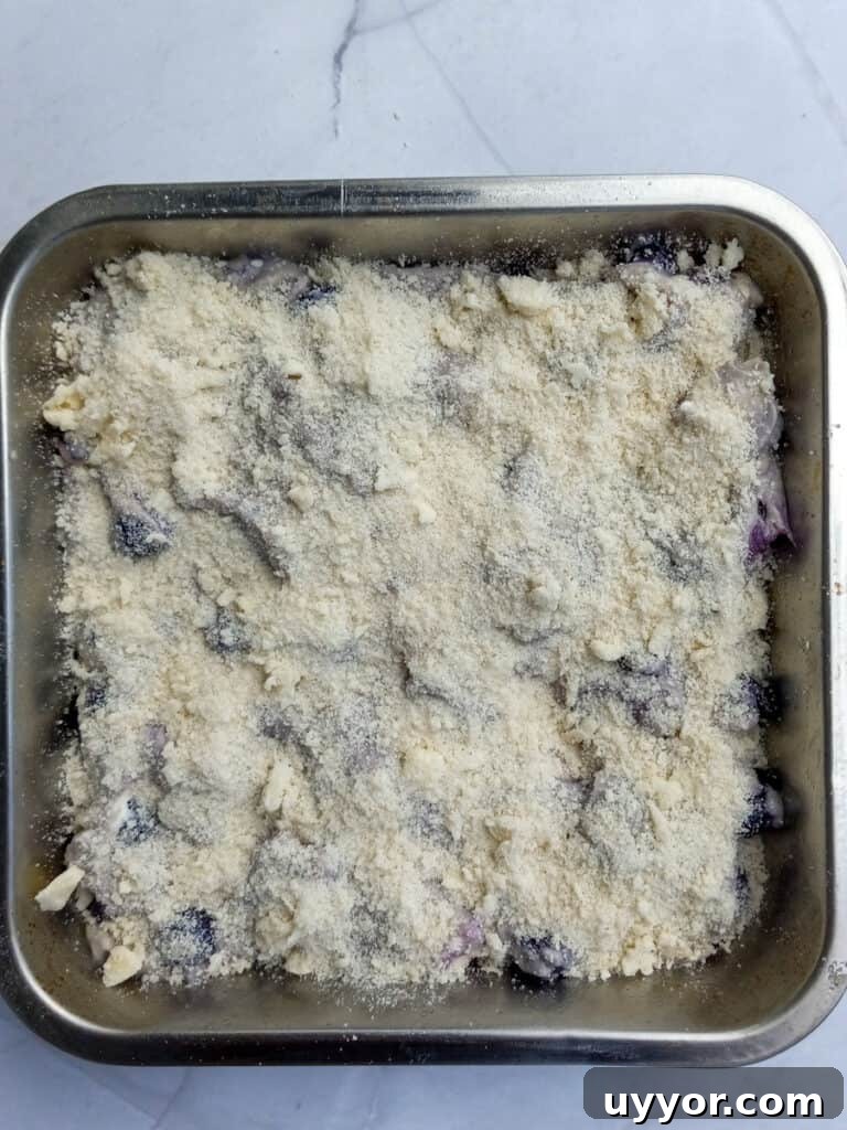 Amish Blueberry Coffee Cake Recipe for Tender, Rustic Crumb 4 9" blueberry coffeecake ready to bake