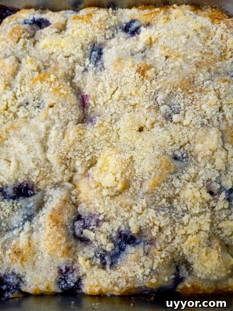 Amish Blueberry Coffee Cake Recipe for Tender, Rustic Crumb 5 baked and ready to eat 9" blueberry coffeecake with streusel topping.