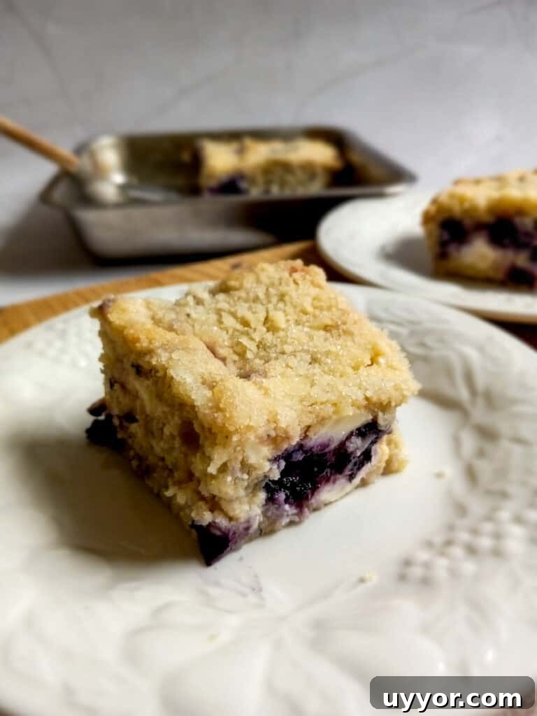 Amish Blueberry Coffee Cake Recipe for Tender, Rustic Crumb 6 slices of Amish coffeecake on two plates and the remaining cake in the background.