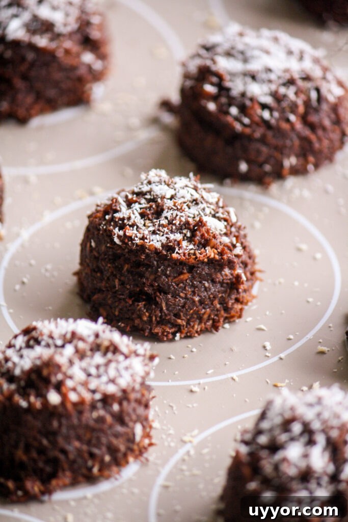 Fudgy, chewy coconut macaroons made with dark chocolate!