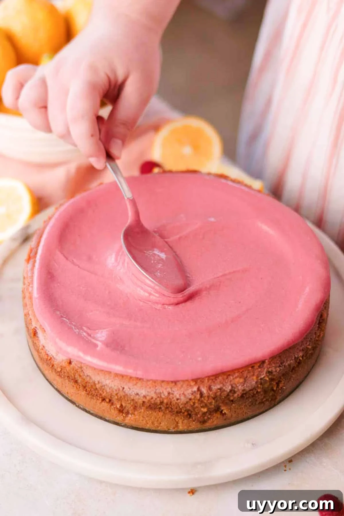 Lemon Raspberry Cheesecake Recipe: Zesty Citrus Cheesecake with Fresh Berries 2 spreading raspberry curd on top of baked and cooled cheesecake with the back of a spoon