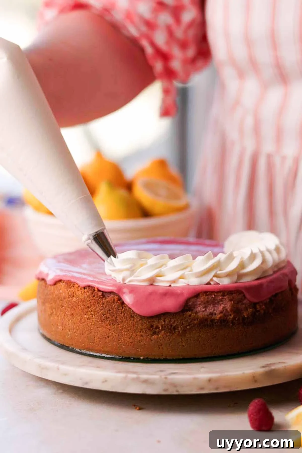 Lemon Raspberry Cheesecake Recipe: Zesty Citrus Cheesecake with Fresh Berries 3 piping whipped cream on top of cheesecake covered in raspberry curd